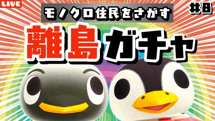 【あつ森】今日こそペンギンズを探す🐧離島ガチャ残り2人！モノトーンな住民を探すLIVE配信！【あつまれ どうぶつの森】