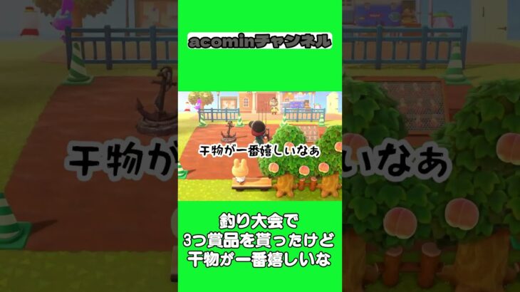 【あつ森】釣り大会で3つ賞品を貰ったけど干物が一番嬉しいな |shorts