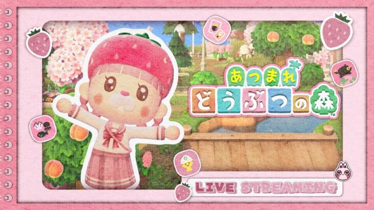 【 #あつ森 】 #30分 いつものマイル集め🌸ぴんくでいっぱいの島🍓 #どう森 / #acnh