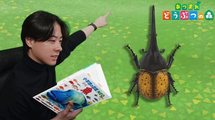 本物の図鑑で行くあつもり‼ ＃39【あつまれ どうぶつの森】