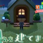 【あつ森／睡眠導入】タヌキ商店を建てない島で、静かに過ごす夜 #4 【あつまれどうぶつの森】提灯頭の鶴