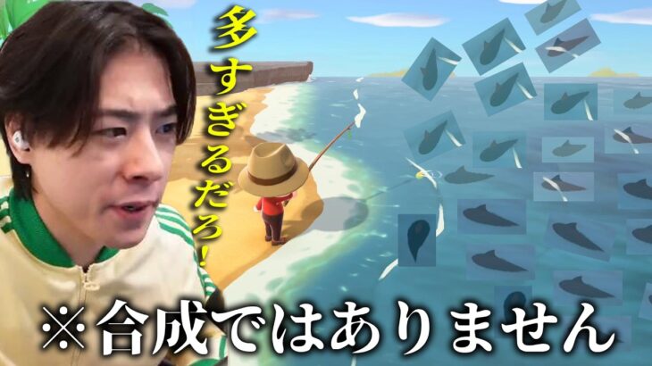 ついにサメ島に到着！！！！！…＃41【あつまれ どうぶつの森】