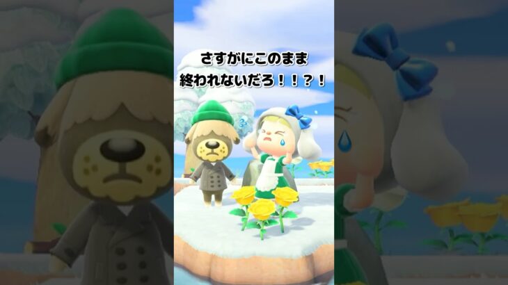 【あつ森】第4回ワンワン島離島ガチャpart9🐶