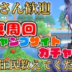 【#あつ森配信  】5分だけ配信見ませんか！夜でもキャンプサイトガチャ写真周回配信！ #255 #あつまれどうぶつの森  #雑談配信