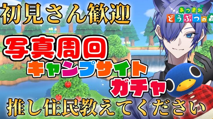 【#あつ森配信  】5分だけ配信見ませんか！夜でもキャンプサイトガチャ写真周回配信！ #255 #あつまれどうぶつの森  #雑談配信