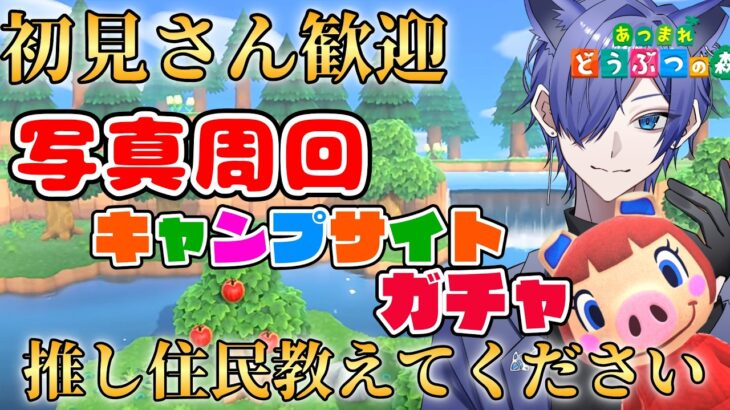 【#あつ森配信  】初見さん5分だけ配信見ませんか！キャンプサイトガチャ写真周回配信！ #257 #あつまれどうぶつの森  #雑談配信