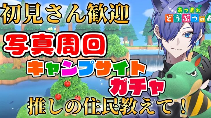 【#あつ森配信  】初見さん5分だけ配信見ませんか！置いてきたやつをキャンプサイトガチャ写真周回配信！ #263  #あつまれどうぶつの森  #雑談配信