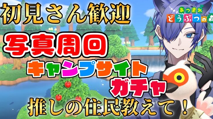 【#あつ森配信  】初見さん5分だけ配信見ませんか！渋めのキャンプサイトガチャ写真周回配信！ #266   #あつまれどうぶつの森  #雑談配信