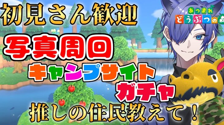 【#あつ森配信  】初見さん5分だけ配信見ませんか！今週もキャンプサイトガチャ写真周回配信！ #267   #あつまれどうぶつの森  #雑談配信