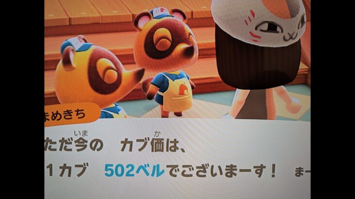 【あつ森】カブ価502＿チャンネル登録、高評価お願いします。