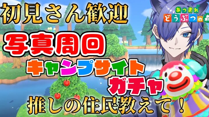 【#あつ森配信  】初見さん5分だけ配信見ませんか！100枚超えてもキャンプサイトガチャ写真周回配信！ #264   #あつまれどうぶつの森  #雑談配信