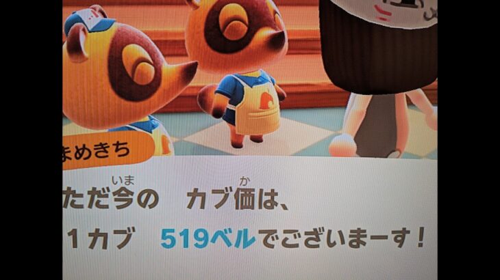 【あつ森】カブ価519＿チャンネル登録、高評価お願いします。