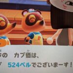 【あつ森】カブ価524＿チャンネル登録、高評価お願いします。
