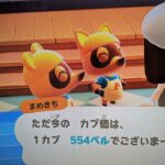 【あつ森】カブ価554＿チャンネル登録、高評価お願いします。