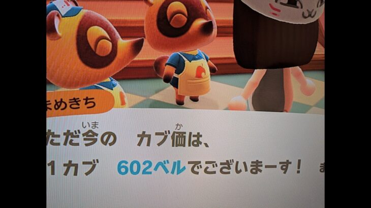 【あつ森】カブ価602＿チャンネル登録、高評価お願いします。