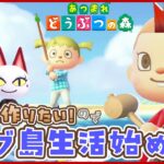 【あつ森】6人目の住民を呼ぶにはどうしたらいいの？猫住民だけのサブ島生活を始める🌲6日目【あつまれどうぶつの森】