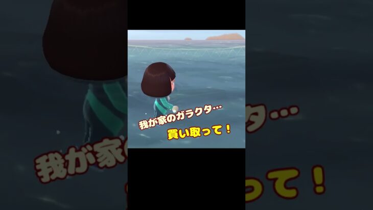 今日のラコスケ＃69「ラコスケの言う通り？」3選【あつ森】#shorts