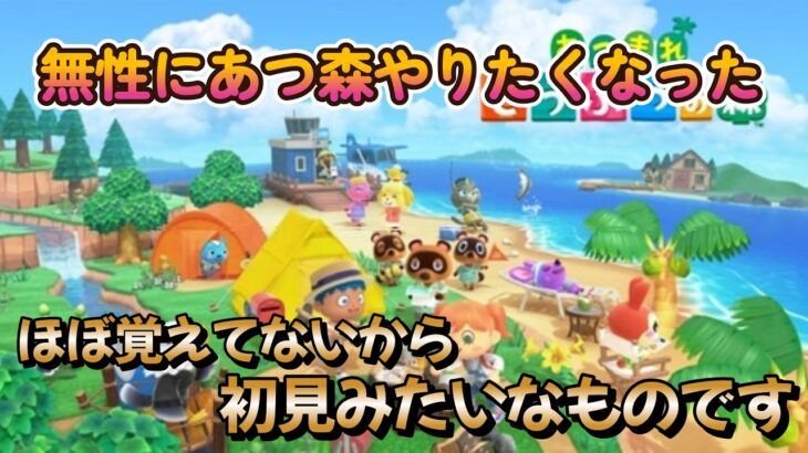 【あつ森】今日は博物館展示完成に向けいろいろ捕まえに行く！7日目！