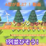 A型が喜ぶ？！動画#あつまれどうぶつの森 #あつ森 #A型#うれしい