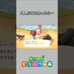 【あつ森】久々にちゃちゃまるに会ったら、幽霊扱いされちゃった👻🤣【あつまれどうぶつの森】【どうぶつの森】【ACNH】 #short