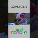 【あつ森】暗闇でもよく見たいちゃちゃまる👀【あつまれどうぶつの森】【どうぶつの森】【ACNH】 #short