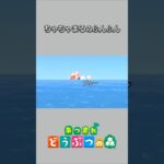 【あつ森】ちゃちゃまるのふんふん💩が海に流出！？🌊💩🌊【あつまれどうぶつの森】【どうぶつの森】【ACNH】 #short