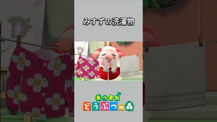【あつ森】みすずの洗濯物の香りに誘われる、ちゃちゃまる😆💕【あつまれどうぶつの森】【どうぶつの森】【ACNH】 #short