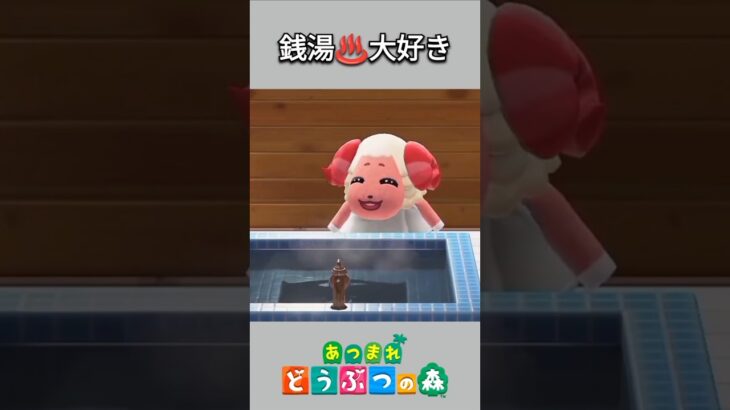 【あつ森】銭湯に来たちゃちゃまる♨️いい湯だなぁ😆✨【あつまれどうぶつの森】【どうぶつの森】【ACNH】 #short