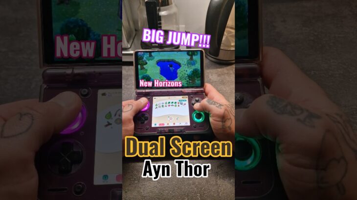 ANIMAL CROSSING – DUAL SCREEN