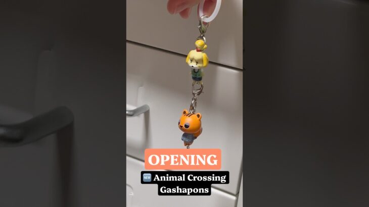 🆕 Animal Crossing Gashapon #animalcrossing #animalcrossingnewhorizons #seoul