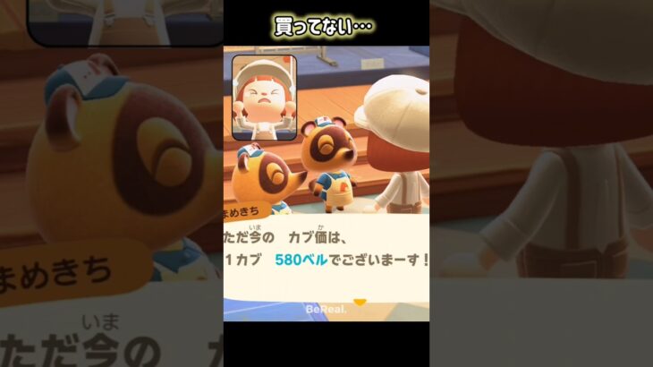 【あつ森】BeReal（こんな時にかぎって…）#あつ森 #あつまれどうぶつの森 #bereal  #animalcrossing #shorts