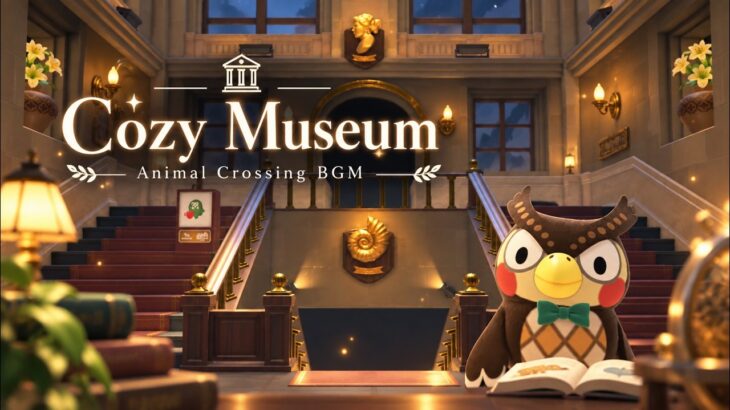 【あつ森】Cozy Museum BGM 🦉🏛️｜フータと過ごす静かな博物館｜Animal Crossing