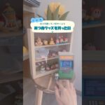 【あつ森🍃】売り切れ続出のあつ森ともだちどーるをGETしてお部屋に飾り付けした日🫶🏻🎈💫#あつ森 #あつまれどうぶつの森 #どうぶつの森 #animalcrossing #購入品紹介