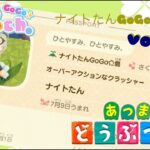 あつ森配信（新島）ナイトたんGoGo☆島編　vol.018    ～島クリ＆ハピパラ～