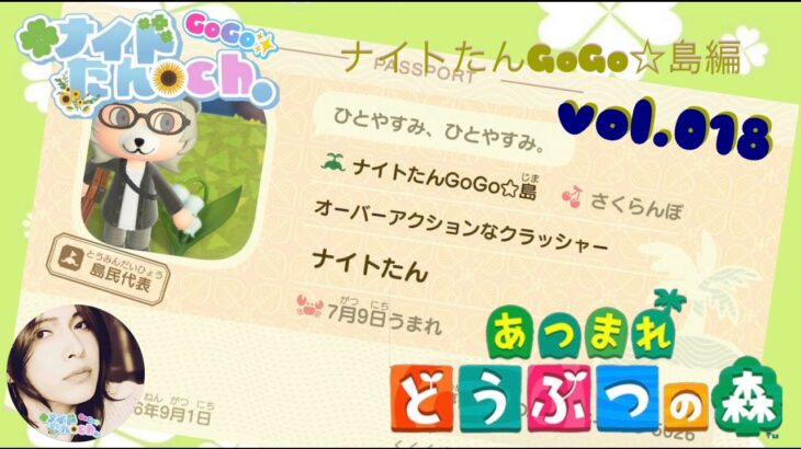 あつ森配信（新島）ナイトたんGoGo☆島編　vol.018    ～島クリ＆ハピパラ～