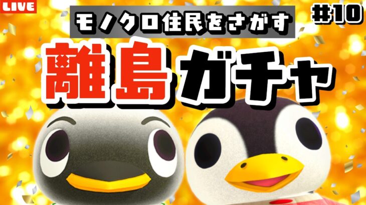 【あつ森】今日こそ絶対見つけるぞ🐧モノトーンな住民を探す離島ガチャLIVE配信【あつまれ どうぶつの森】