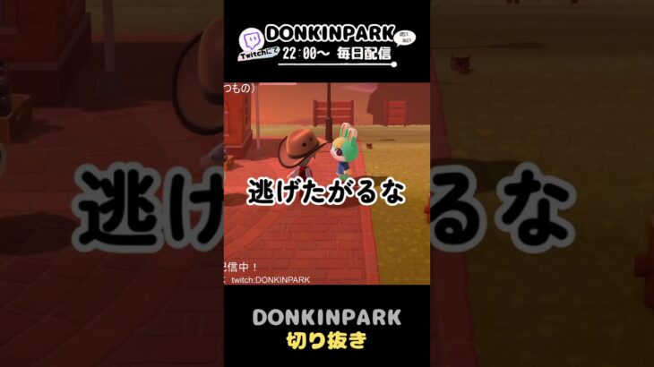 【あつ森】共演NGの住民同士なのか？【あつまれどうぶつの森】 #どうぶつの森  #animalcrossing   #twitch #switch2