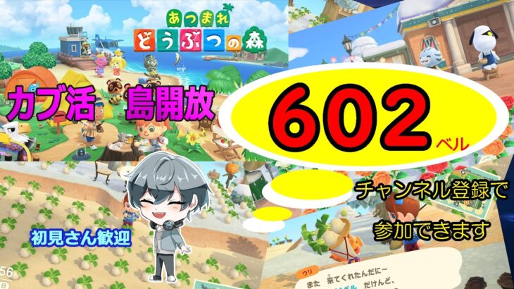 【あつ森】　島開放　カブ価６０２ベル☆　往復OK！初見さん歓迎！　きゃらめるまきあー島＃052