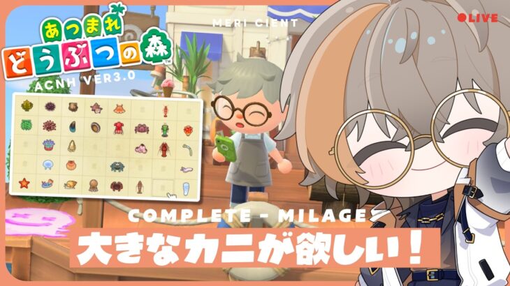 【 あつ森 】タカアシガニが欲しい！海の幸集めPART2🫠 たぬきマイレージコンプの旅！【 メリ・シエント 】