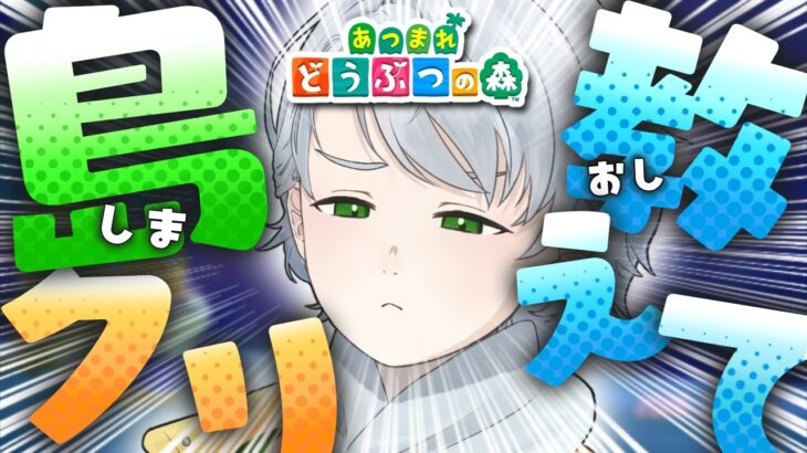 〖島クリ合宿〗博物館周りを可愛くするぞ！初見ROMも大歓迎！※寝落ち見守り配信〖 あつまれどうぶつの森 〗