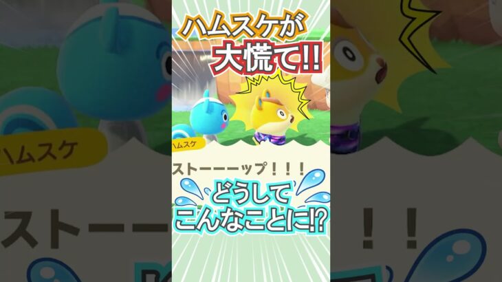 ハムスケ衝撃!!何があった⁉【あつ森】 #Shorts #あつ森