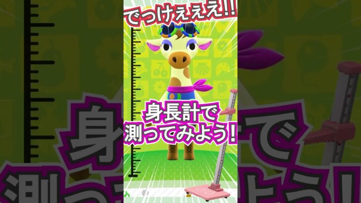 グレースの身長のヒミツ!?【あつ森】 #Shorts #あつ森