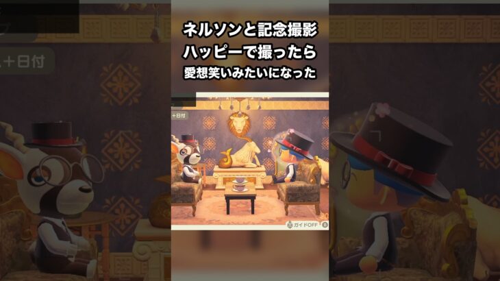 【あつ森】ネルソンと記念撮影 ハッピーで撮ったら 愛想笑いみたいになった #あつ森 #Shorts