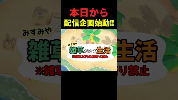 【あつ森】本日からTiktokで初のあつ森企画スタートします！！遊びに来てねー💪✨#あつ森　#あつまれどうぶつの森  #水宮あらん