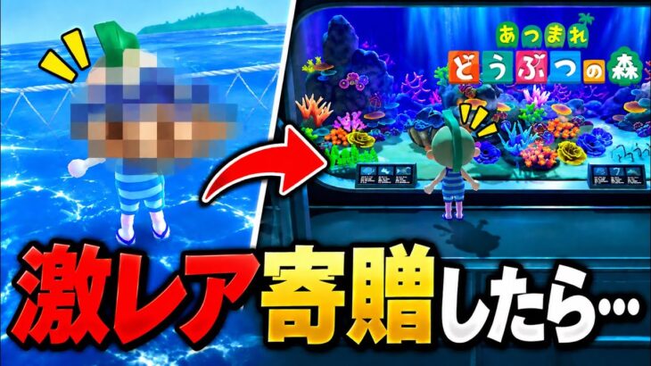 【あつ森】激レアの海の幸を寄贈したら酷い扱いされた…  【あつまれどうぶつの森】Vtuber