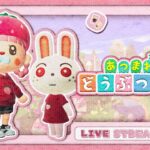 【 #あつ森 】 きがすむまで🌷 いつものマイル集め🌸 サムネ用の撮影もするぴんくでいっぱいの島🍓 #どう森 / #acnh