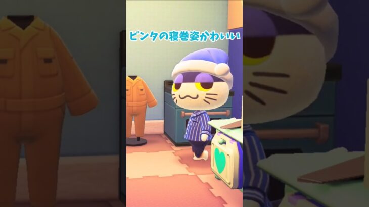 深夜にビンタのお家へ #あつ森 #あつまれどうぶつの森 #ゲーム #どうぶつの森#acnh  #animalcrossingnewhorizons#shorts #animalcrossing
