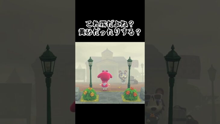 霧がすごい #acnh #あつ森 #あつまれどうぶつの森 #ゲーム #どうぶつの森 #shorts#animalcrossingnewhorizons#animalcrossing
