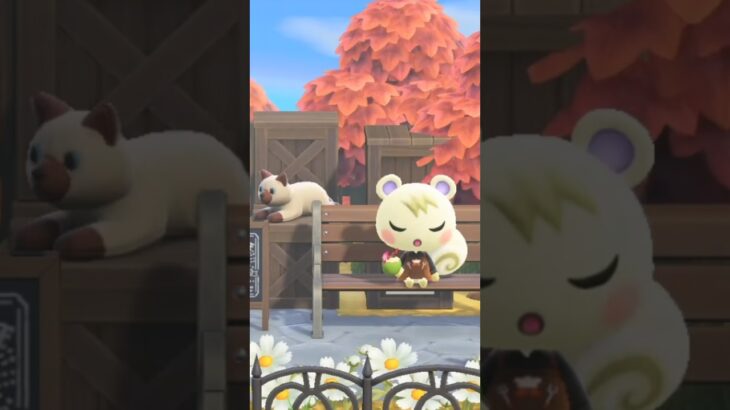 秋の純喫茶☕️あつ森名曲『けけダブ』 #animalcrossing