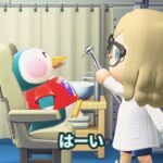手をあげてください#あつ森 #あつまれどうぶつの森 #animalcrossing